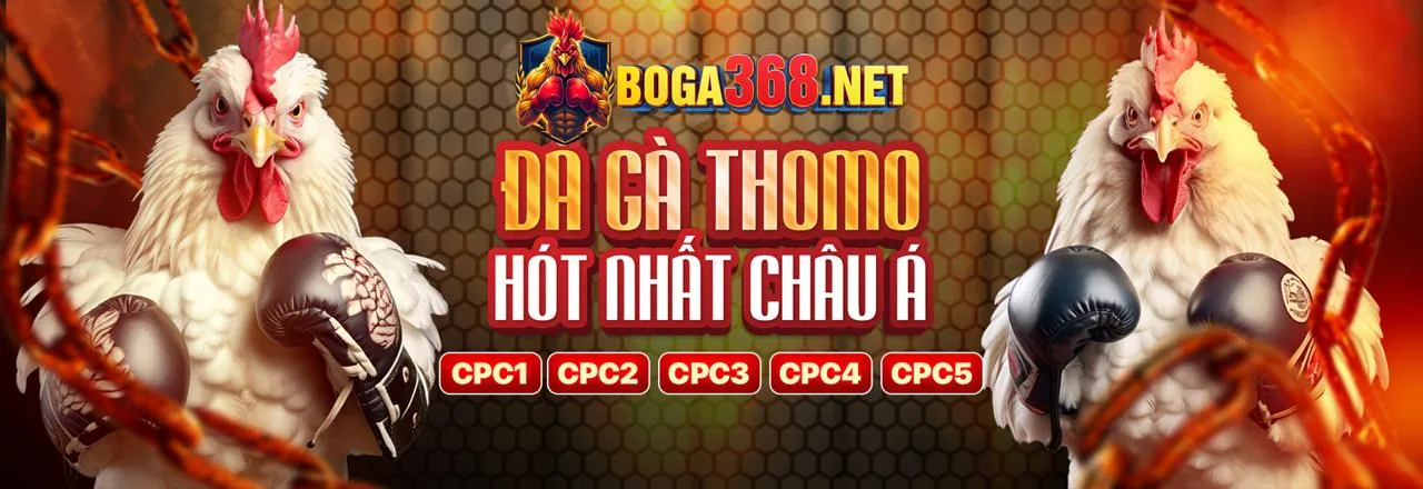 Hình ảnh banner khuyến mãi hấp dẫn tại 8dayvn chính thức